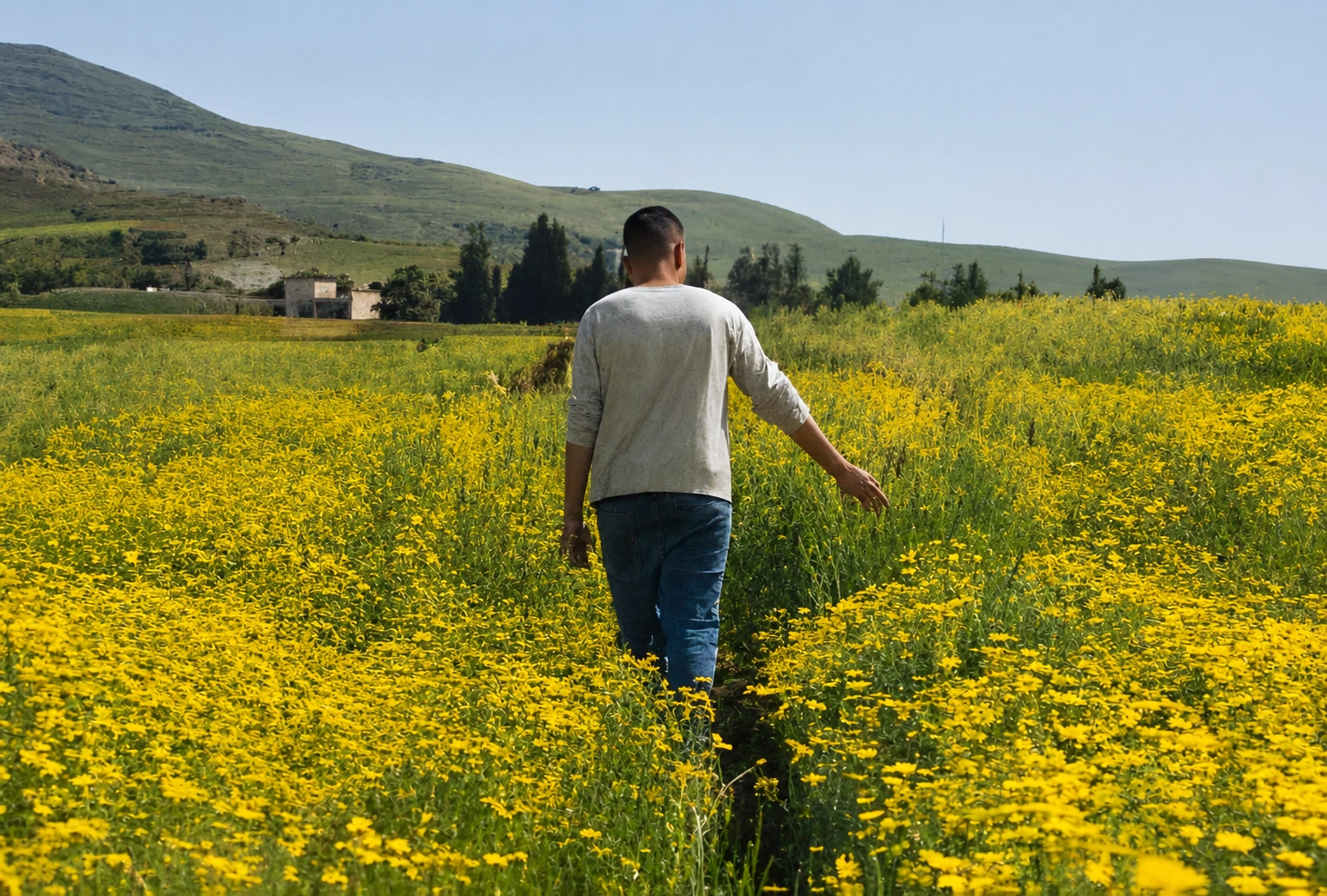 Person walking through a field of flowers.